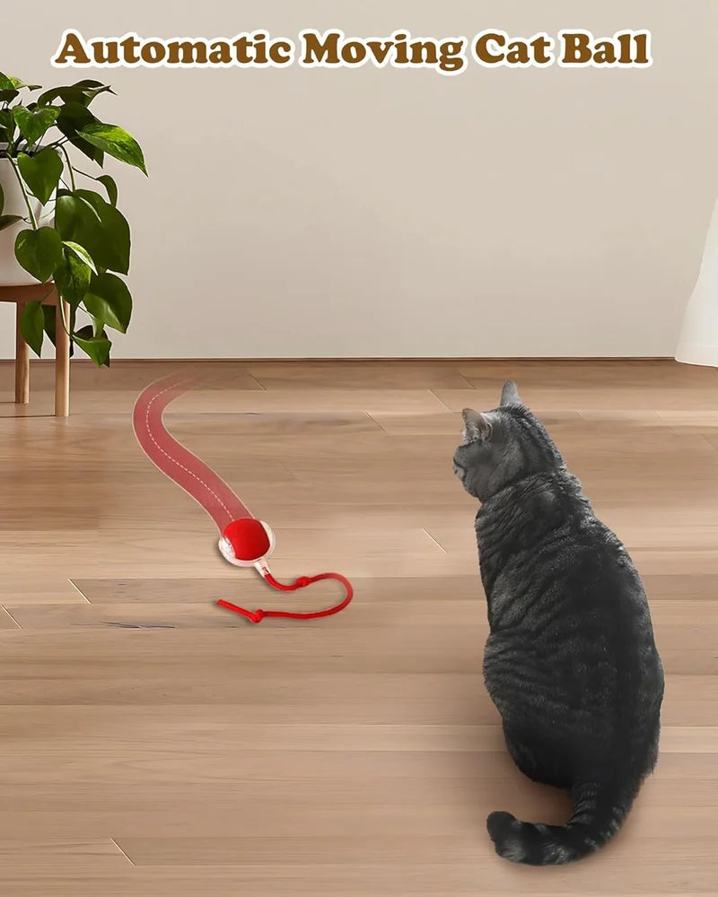Interactive Pet Rolling Ball  Automatic