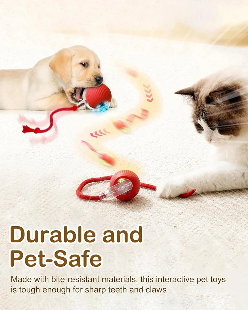 Interactive Pet Rolling Ball  Automatic