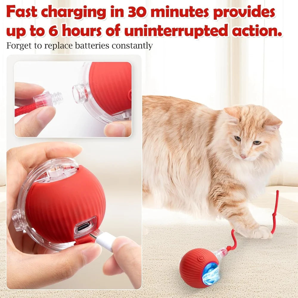 Interactive Pet Rolling Ball  Automatic