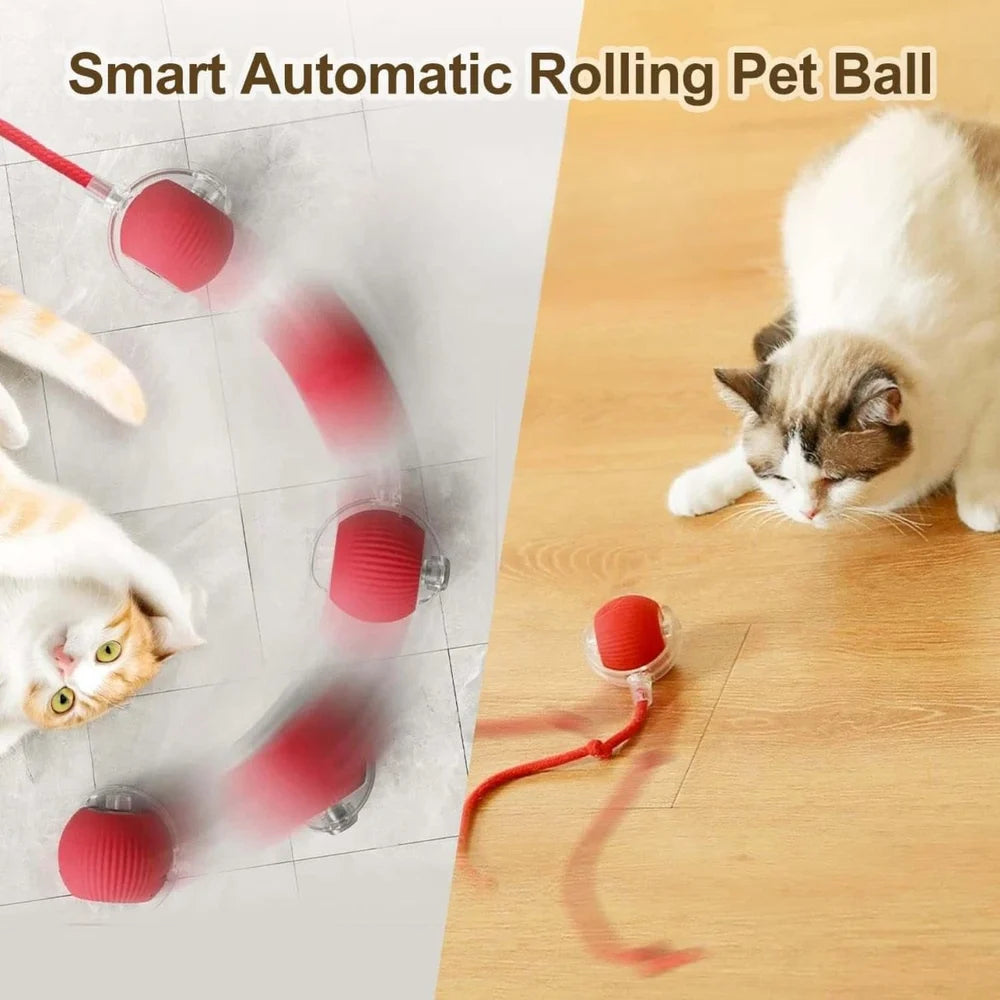 Interactive Pet Rolling Ball  Automatic