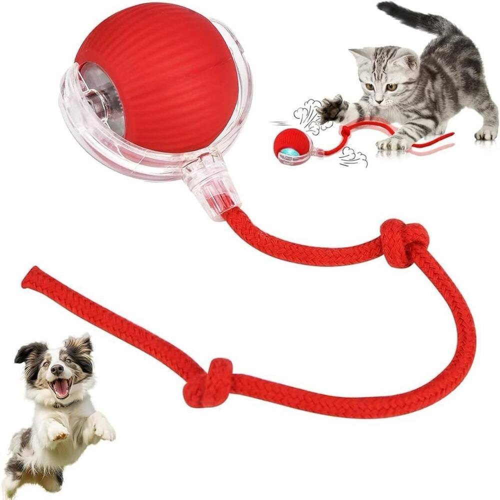 Interactive Pet Rolling Ball  Automatic